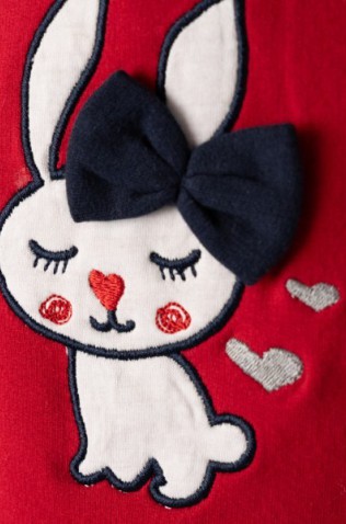 Σετ μπλούζα φούτερ με κολάν για μικρά κορίτσια EBITA 243531 κόκκινο