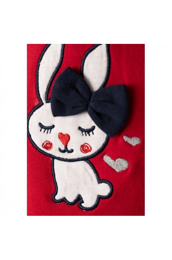 Σετ μπλούζα φούτερ με κολάν για μικρά κορίτσια EBITA 243531 κόκκινο