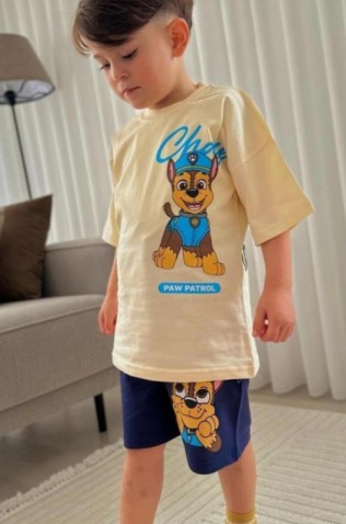 ΣΕΤ ΜΠΛΟΥΖΑ ΜΕ ΣΟΡΤΣ ΓΙΑ ΑΓΟΡΙΑ CHASE PAW PATROL ΕΚΡΟΥ