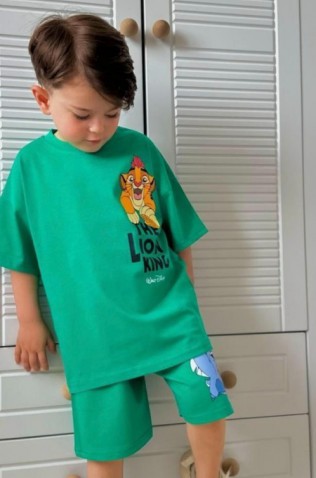 ΣΕΤ ΜΠΛΟΥΖΑ ΜΕ ΣΟΡΤΣ ΓΙΑ ΑΓΟΡΙΑ THE LION KING ΠΡΑΣΙΝΟ